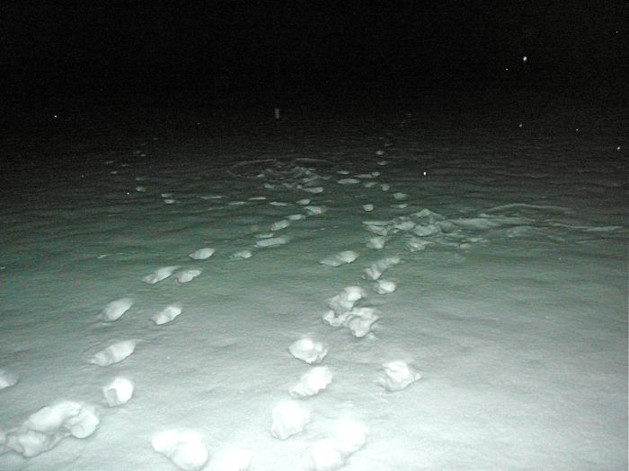 12-13 Sue's Sidetrack