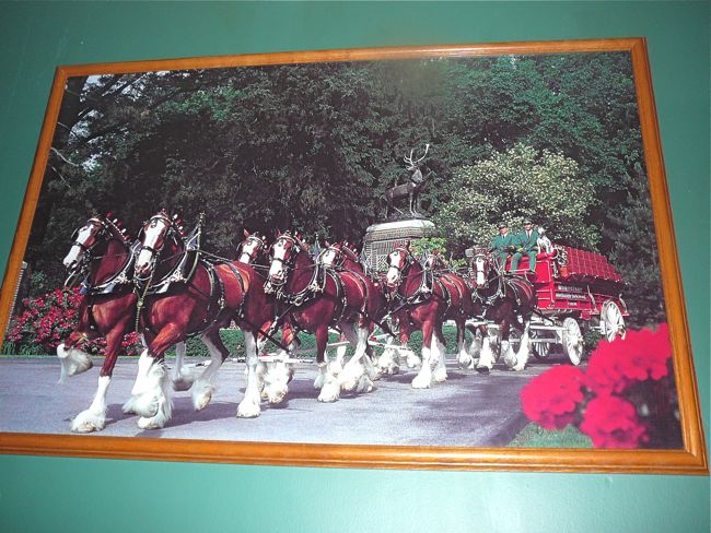 4-10 Sue's SideTrack