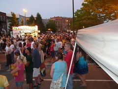 7-3 Allegan Fest