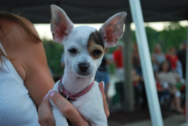 7-3 Allegan FredPics