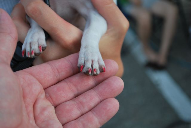 7-3 Allegan FredPics