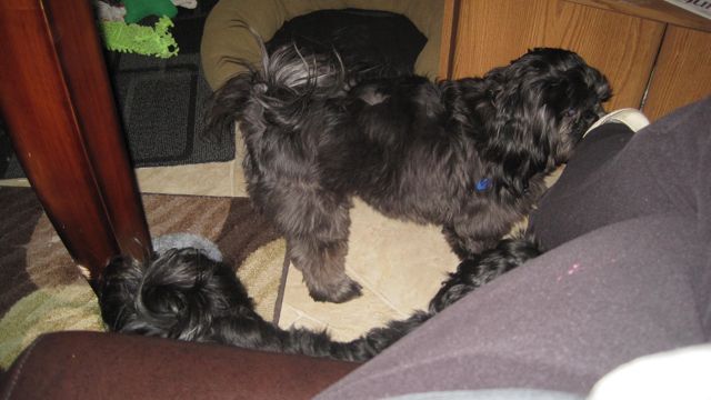 Jan 2012 Basement Days