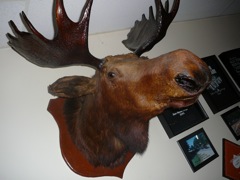 Dec 13 Dorr Moose