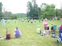 July 6 Volleyball at Dorr Fest