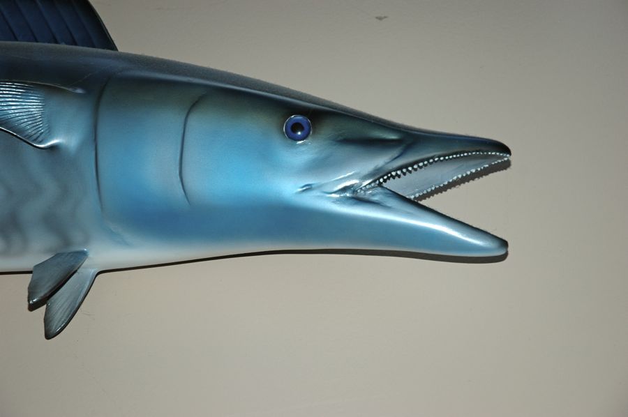 Aug 19, AJ's in Dorr