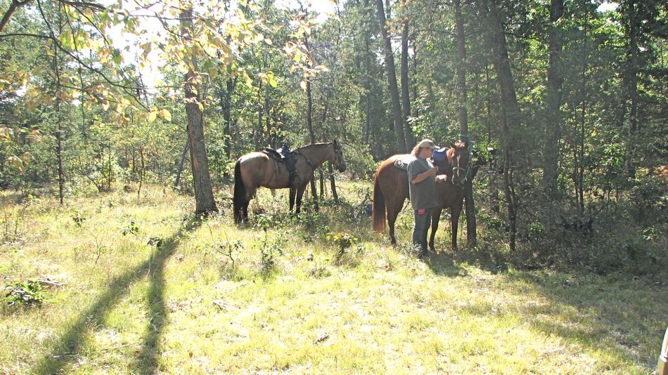 Sep 16 Cowboy Luncheon, Irons